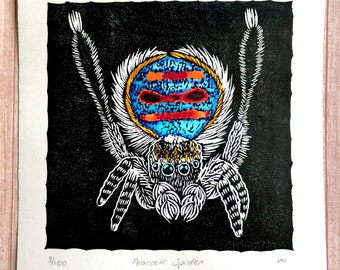 Peacock Spider Original Lino Cut Print / Australian Arachnid Print / Maratus / Original Artwork
