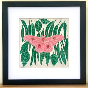 May include: A framed print of a pink moth with large eyes, surrounded by green leaves. The print is on a white background and has a white mount.