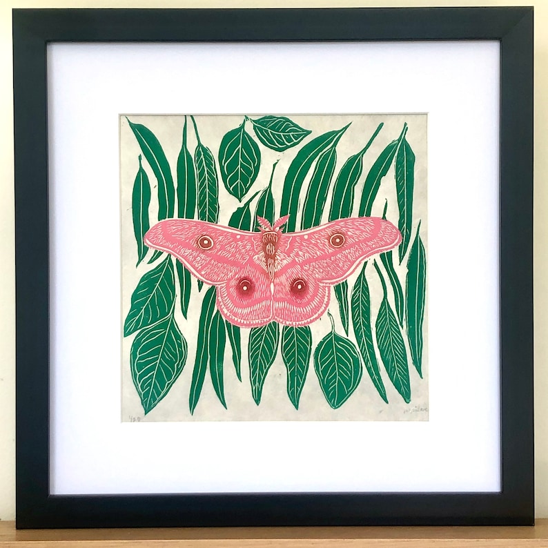 May include: A framed print of a pink moth with large eyes, surrounded by green leaves. The print is on a white background and has a white mount.