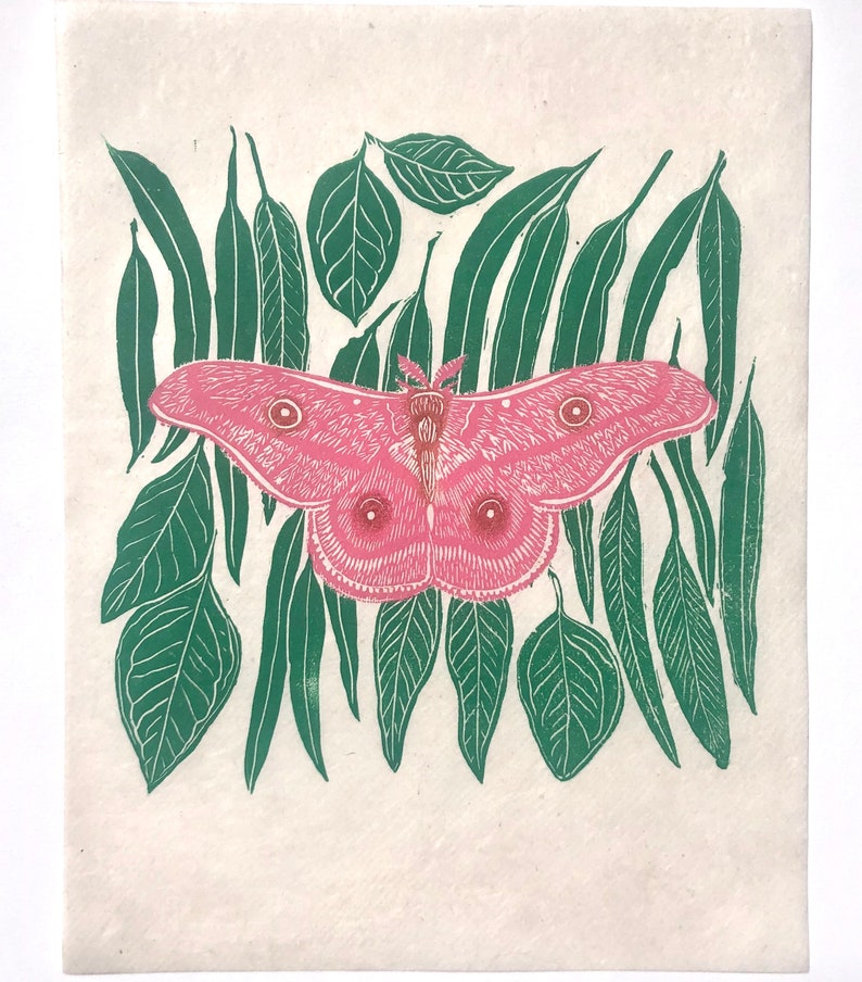 May include: A pink moth with large, feathery antennae is surrounded by green leaves. The moth has large, round eyes and a fuzzy body.