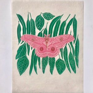 May include: A pink moth with brown eyes is surrounded by green leaves. The moth has a fuzzy texture and is printed on a white background.