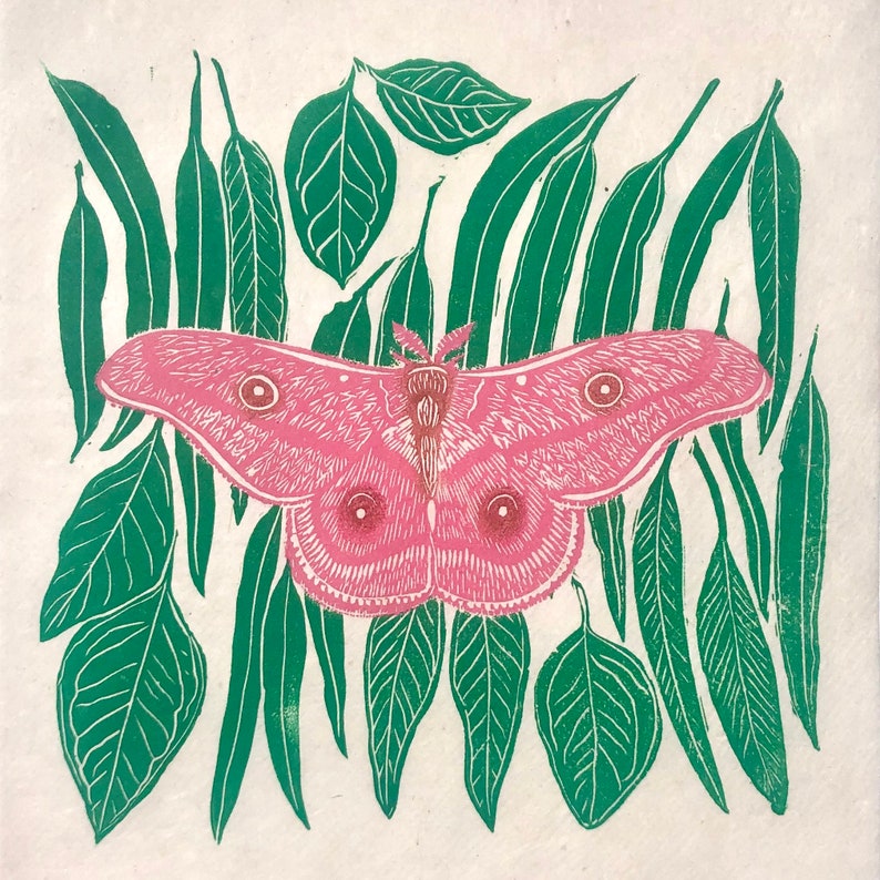 May include: A pink moth with large, feathery antennae is surrounded by green leaves. The moth has two large, round eyes and a detailed wing pattern.
