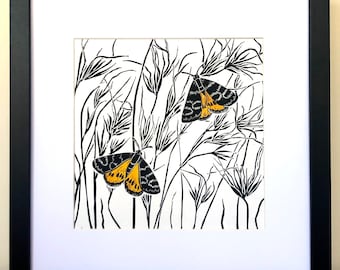 The Sun Moth / Australian Insect / linocut print