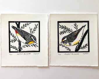 Pardalote Linocut Prints  / Australian Bird / Original Artwork