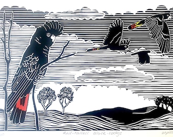 Puede incluir: Grabado en linóleo en blanco y negro con cacatúas negras de cola roja. Un pájaro está posado en una rama, mientras que otros dos vuelan por un cielo rayado. La impresión incluye el texto "Red-tailed Black-cockys".