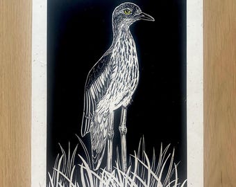Puede incluir: Grabado en linóleo en blanco y negro de un ave llamada "Bush Stone-curlew" de pie en hierba alta. El ave tiene un ojo amarillo y mira hacia la derecha. La impresión está titulada "Bush Stone-curlew" y firmada "wpellane".