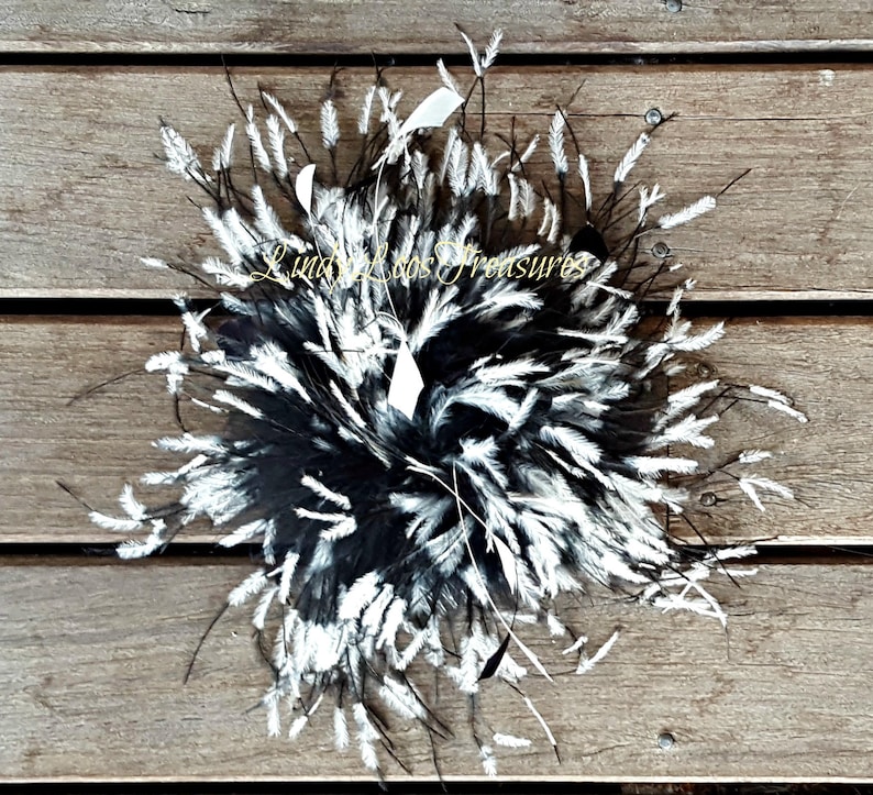 Feather Fascinator Spring Racing Carnival Formals Great Gatsby Evening Melbourne Cup Racing Black and White Feather Fascinator Hat