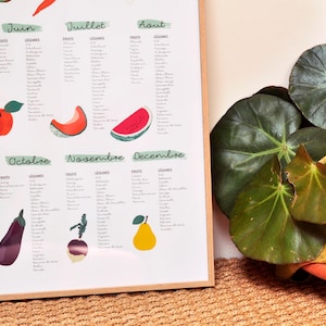 EU Seasonal Fruits and Vegetables Poster 40x60 image 4