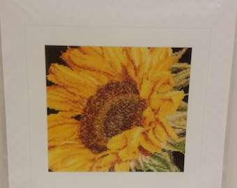 Thea Gouverneur Counted Cross Stitch Kit # 488 "Sunflower"