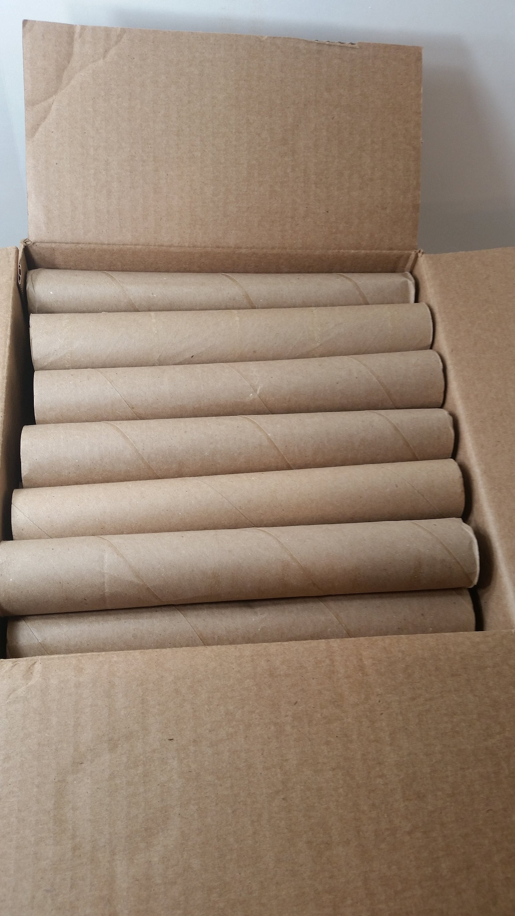40 Cardboard Toilet Paper Tube Rolls, 1 Set of 40, Cardboard Craft Tubes,  no Return on This Item 