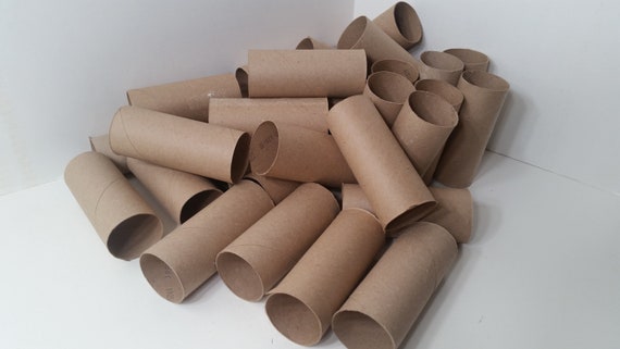 43 Cardboard Toilet Paper Tube Rolls, 1 Set of 43, Cardboard Craft