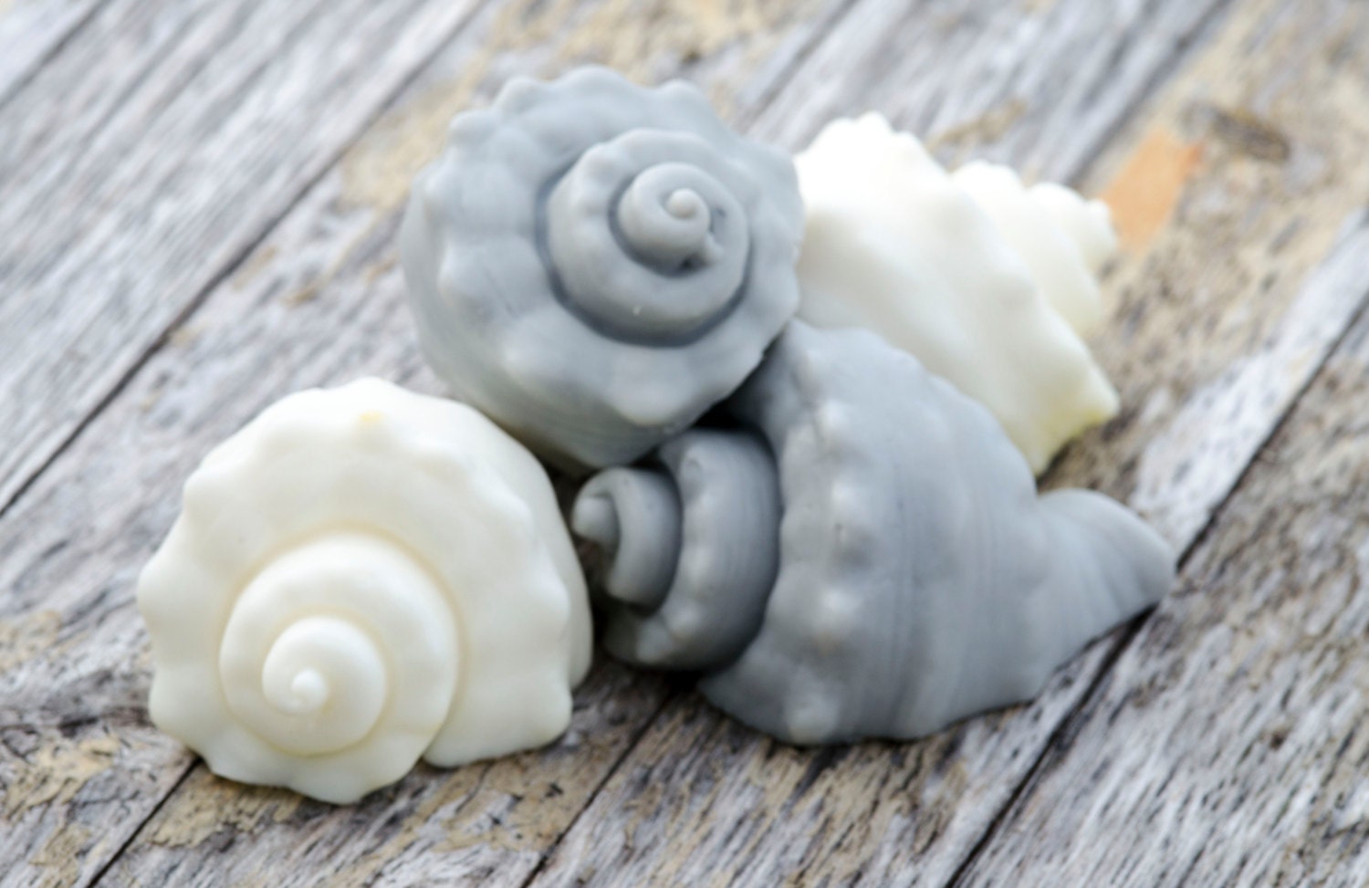 Snail Shell Seashell Fresh Soap Oceanlife Soap Surf Life Soap Etsy