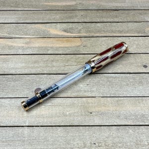 New Mexico Cholla Cactus Demonstrator Style Fountain Pen, Fountain Pen with Feedback, Bottled Ink Convertor, Fine Nib Fountain Pen, Gold Pen