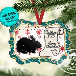 Show Rabbit Christmas Ornament, Personalized Rabbit Ornament, 4H, Stock Show, Livestock Show Ornament, Buyer Gift, Ag Teacher Gift