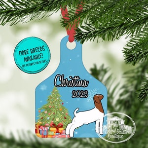 Show Goat Christmas Ornament, Personalized Goat Ornament, 4H, Show Boar, Livestock Show Ornament, Buyer Gift, Ag Teacher Gift, Goats