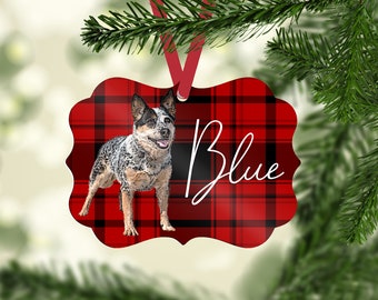 Australian Cattle Red Gift Box Blue Ornament
