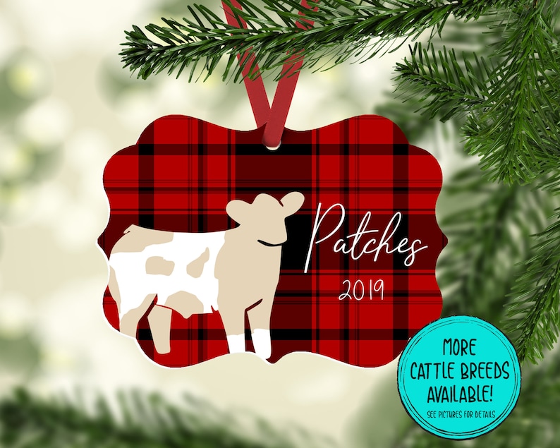 Show Steer Christmas Ornament, Show Cattle, Show Heifer, Livestock Show Ornament, 4H, Beef Cattle, Buyer Gift, Ranch, Personalized,