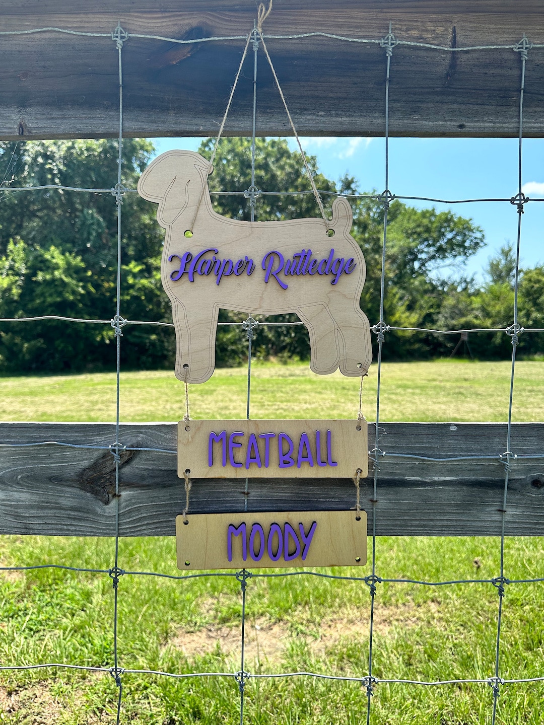 Show Goat Pen Sign With Hanging Name Plate, Wood Livestock Show Sign ...