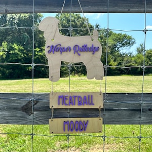 Show Goat Pen Sign with Hanging Name Plate, Wood Livestock Show Sign with 3D Raised Letters, Personalized Goat Stall, Goat Show Award