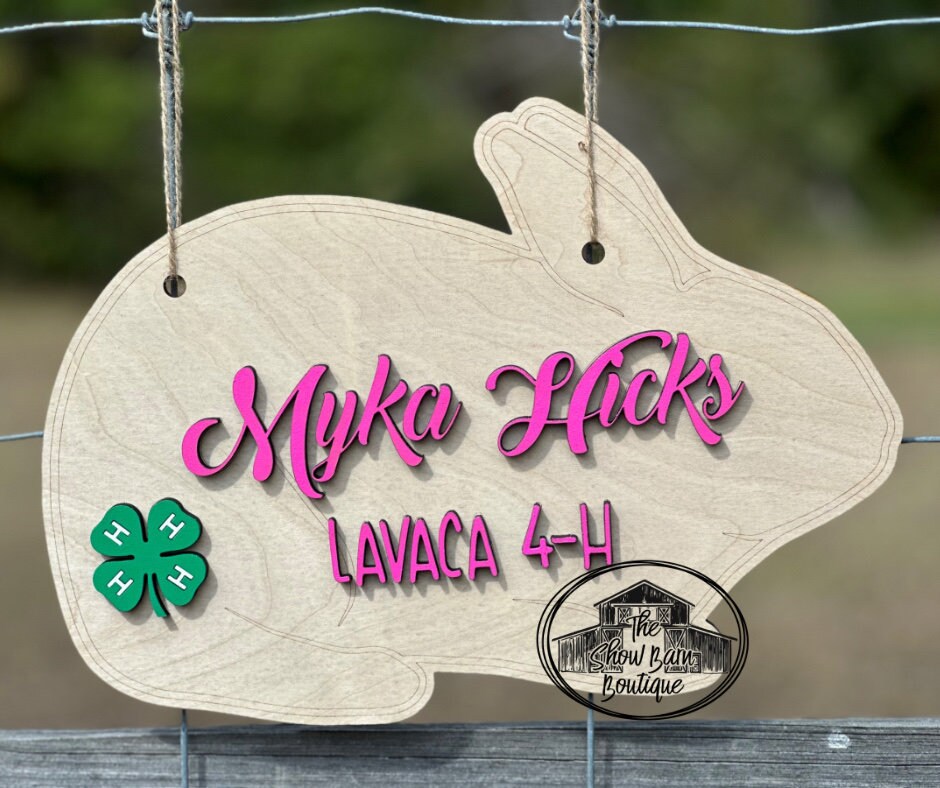 Show Rabbit Pen Sign, Custom Rabbit, Wood Livestock Show Sign With 3D ...