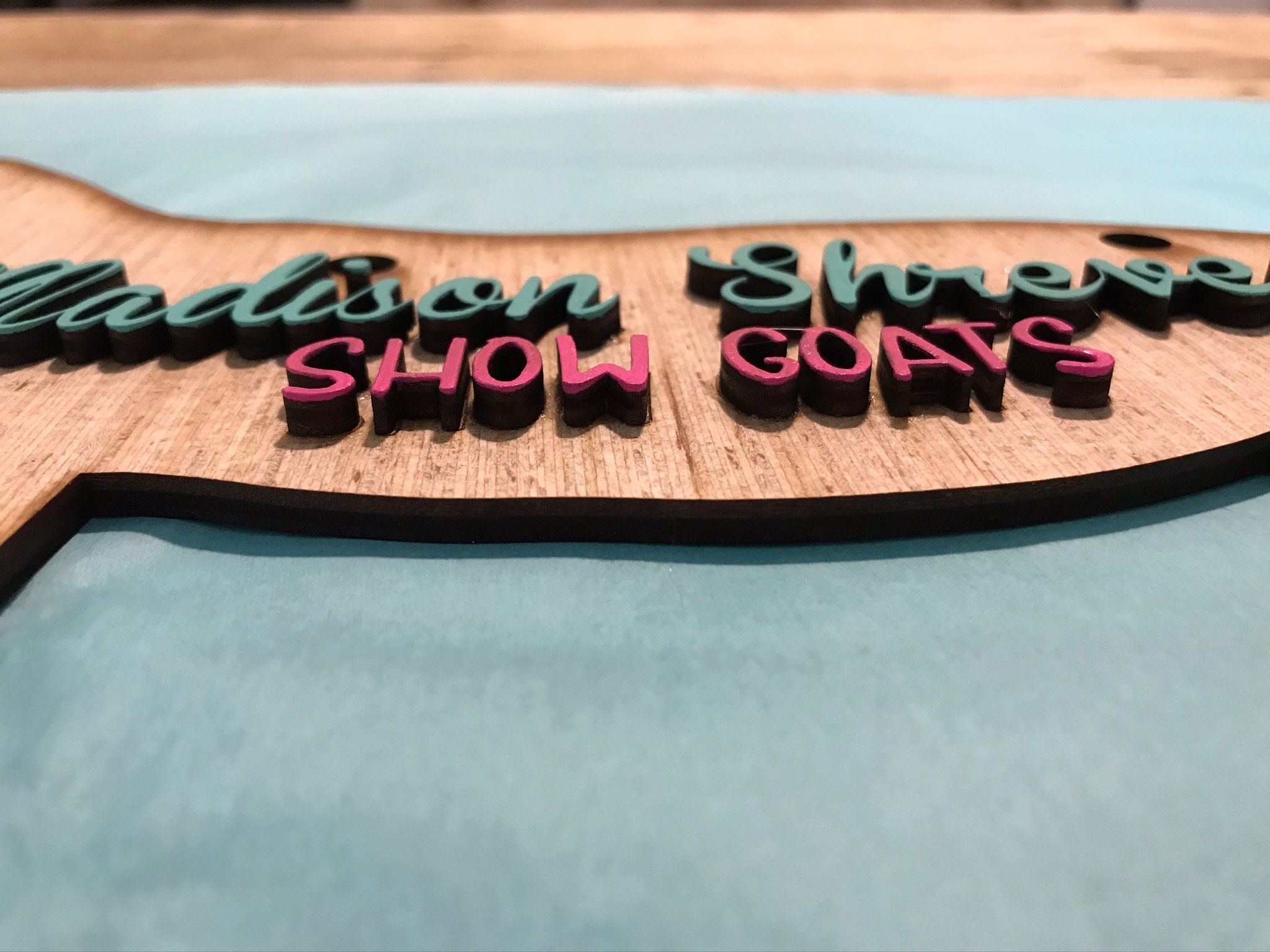 Show Goat Stall Sign Wood Livestock Show Sign With 3D Raised - Etsy