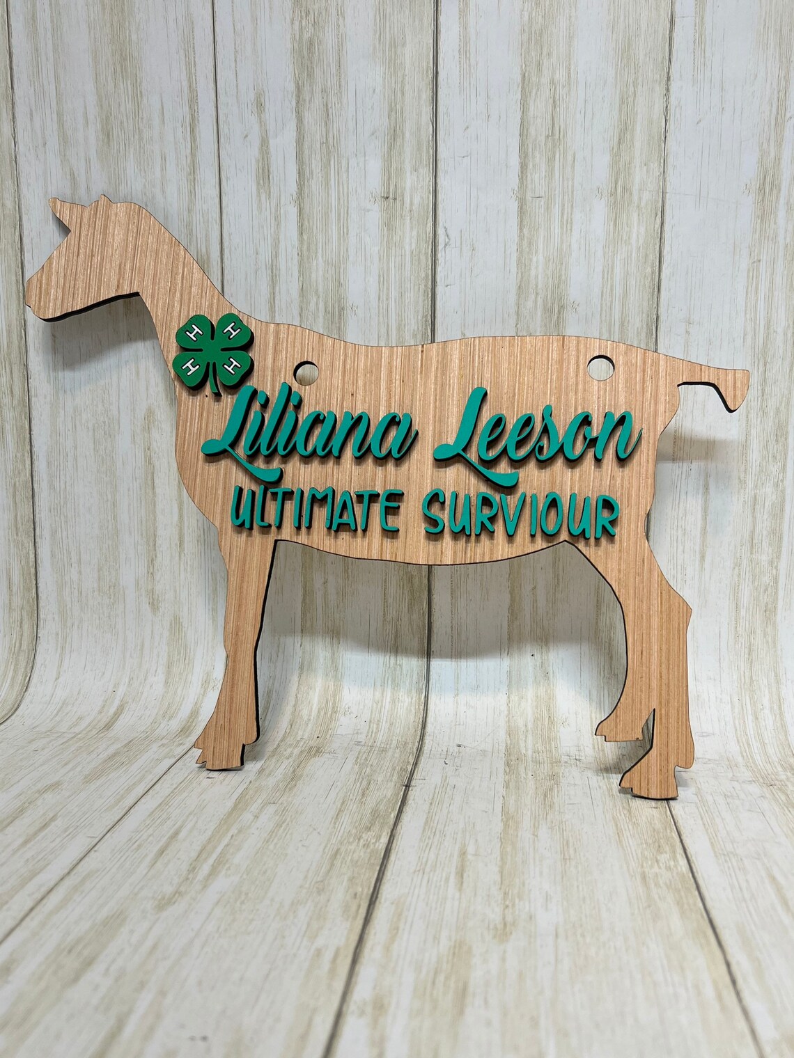 Show Goat Stall Sign Wood Livestock Show Sign With 3D Raised - Etsy