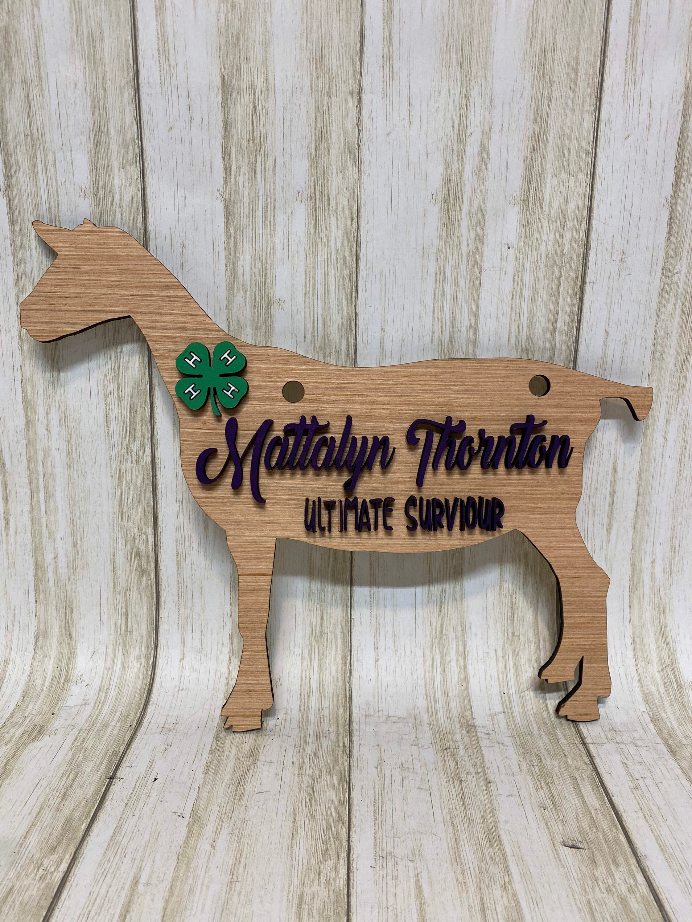 Show Goat Stall Sign Wood Livestock Show Sign With 3D Raised - Etsy