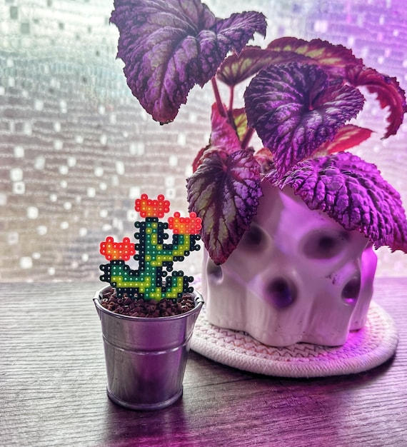 Cactus Office Desk Plant | Plant Lady Gift, Garden Girl Best Friend Gift,  Small Space Decor, Floating Shelf Planter, Cute Girls Bathroom Art - Etsy