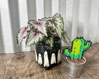 Mini plante décorative de cactus succulente | Usine de bureau | Cadeau meilleure amie jardinière, décoration pour petit espace, jardinière pour étagère flottante, jolies filles