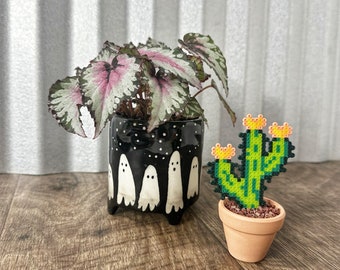 Faux Cute Cactus Plant | Funny Office Decor | Desk Plant | Potted Cacti Plant | Blooming Artificial Cactus | Window Sill Decor, Gift for Her