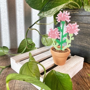 Kwitnący Kwiat Różowy Biurko Roślina | Miniaturowy Uroczy Dekor Biura | Boho Dekoracja Kominka | Roślina Doniczkowa | Dekoracja Małej Przestrzeni | Prezent Roślinny Na Dzień Matki zdjęcie 7