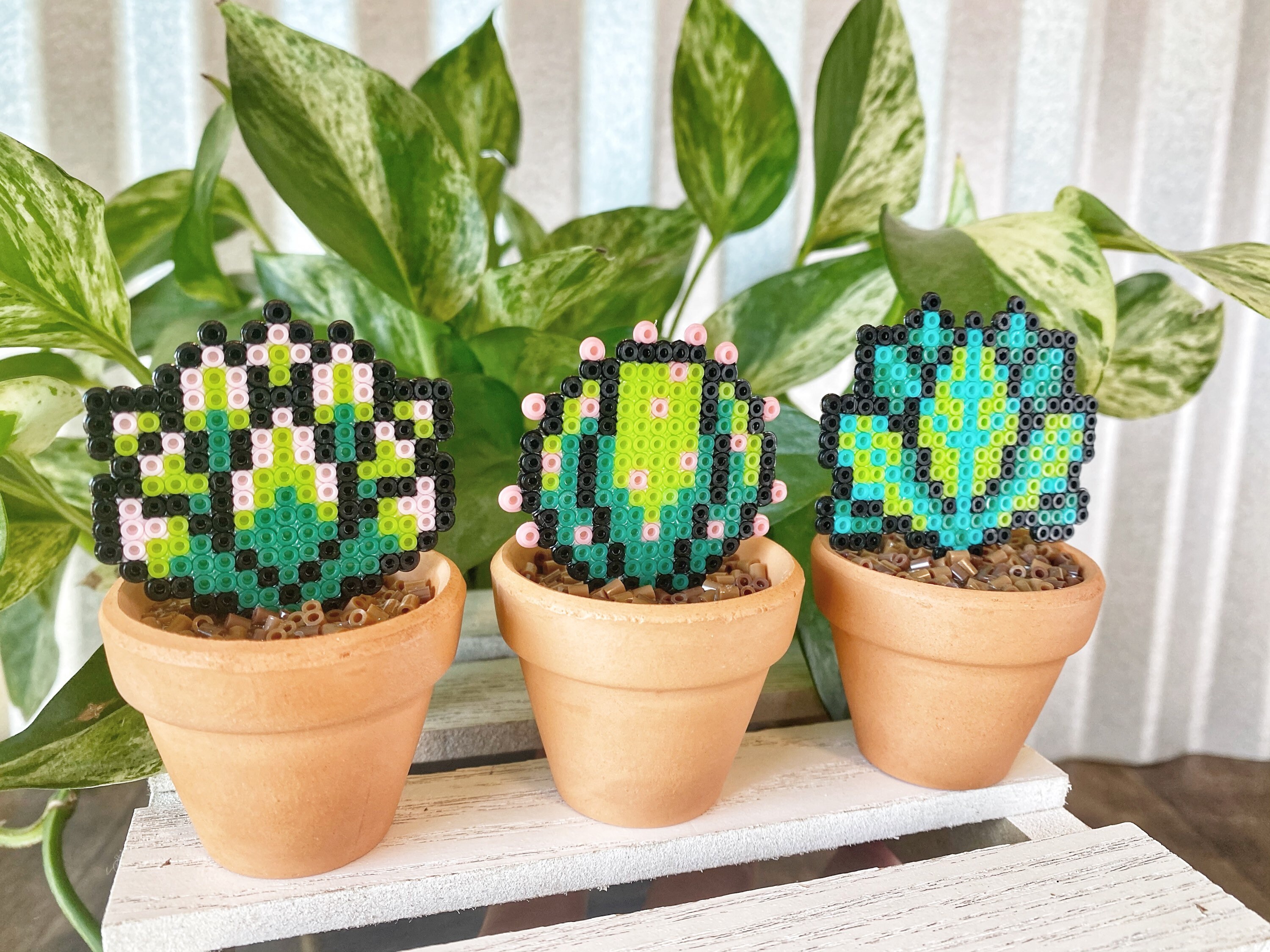 Succulent Pixel Cactus Set Of 3 Office Decor Desk Plant Etsy Singapore