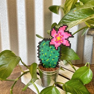 Blooming Cacti Fake Desk Plant | Office Decor | Air plant Holder | Potted Succulent Plant | Blooming Artificial Cactus | Housewarming Gifts