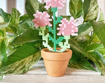 Blooming Flower Pink Desk Plant | Mini Cute Office Decor  | Boho Mantle Decor | Potted Plant | Small Space Decor | Mothers Day Plant Gift