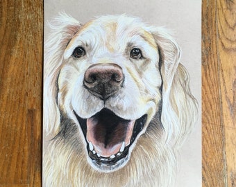 Custom Color Pencil Pet Portraits