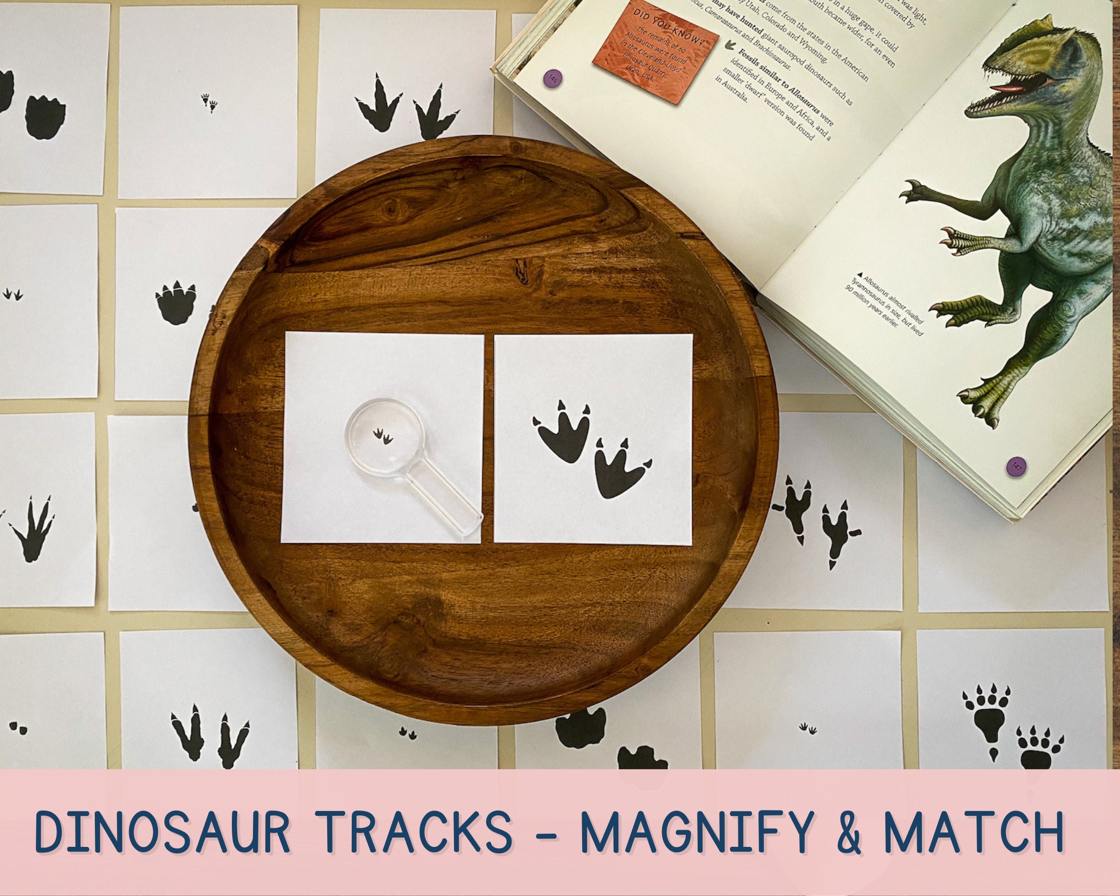 Dinosaur Toddler and Preschool Activity Dinosaur Tracks - Etsy