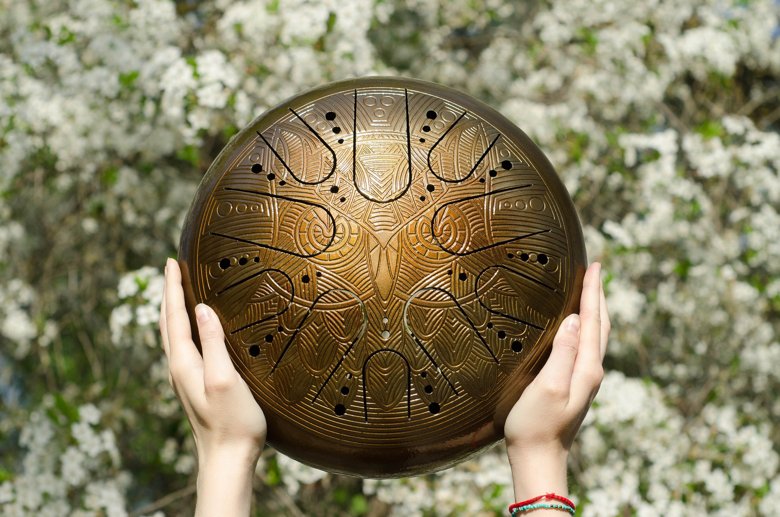 TANK DRUM handpan steel tongue drum handpan drum steel drum Etsy