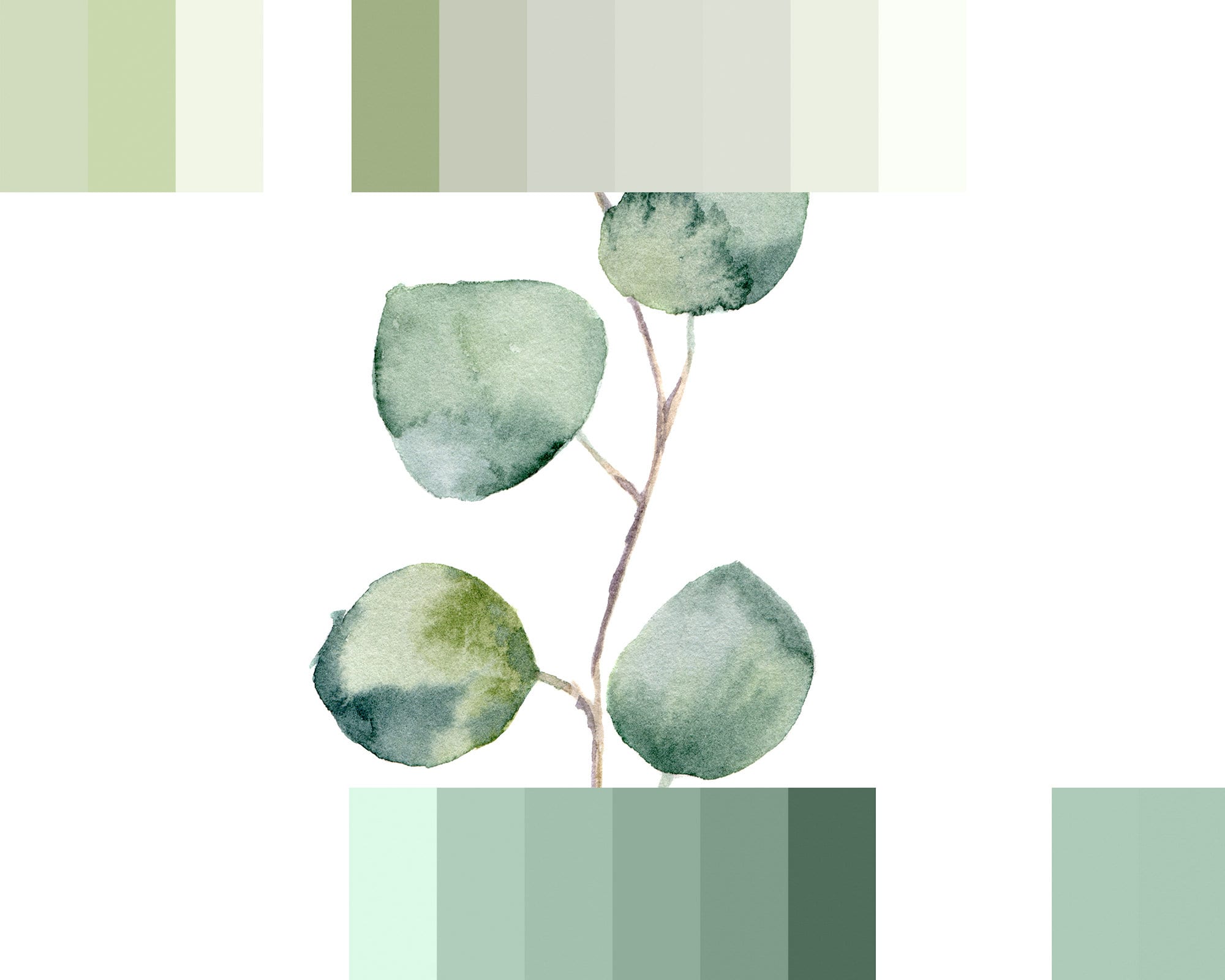 Eucalyptus branch prints, large green botanical watercolor wall art