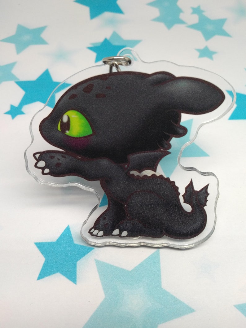 Lot Night fury and Light fury fanart Toothless keychain | Etsy