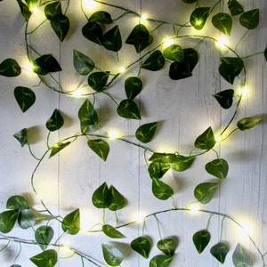 Ivy leaf garland string lights, Pothos fairy lights, evergreen philodendron bunting. Cottagecore Christmas decoration. Holiday decor image 1
