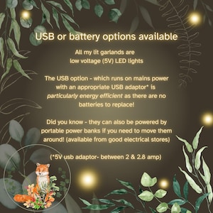 May include: An informational graphic with a dark background and green leaf illustrations. Text states: USB or battery options available, low voltage 5V LED lights, USB option runs on mains power, and portable power banks can be used. Includes a fox illustration.