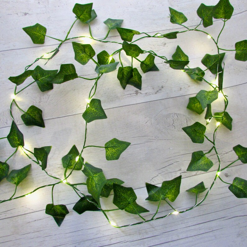 May include: A string of artificial ivy with small green leaves and warm white LED lights. The lights are strung along the vine and create a warm glow.