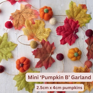 May include: A decorative garland featuring artificial autumn leaves in shades of red, orange, and yellow, interspersed with felted wool pumpkins and small felt balls. The text on the image reads Mini 'Pumpkin B' Garland and 2.5cm x 4cm pumpkins.