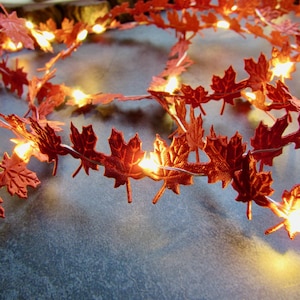 May include: A string of decorative lights featuring orange maple leaf shapes. The leaves are strung together with a thin wire and have small, warm-toned lights interspersed throughout. The garland is ideal for autumn decor.