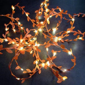 May include: Copper wire fairy lights with small, delicate leaves, creating a warm, glowing garland. The lights are strung along the wire, creating a festive and whimsical atmosphere.