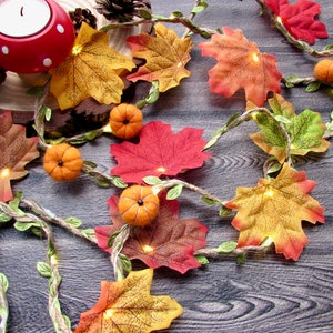 May include: A string of fairy lights with small orange pumpkins and autumn-coloured maple leaves. The lights are strung on a twine cord with green leaves.