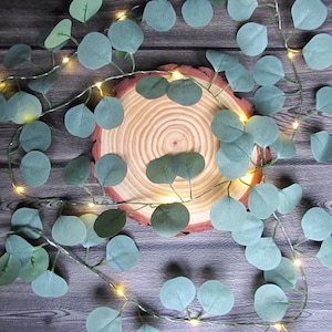 Eucalyptus garland Leaf fairy lights, battery, usb plug in, remote control string light fixture  Cottagecore wedding table rustic home decor