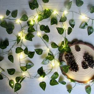 Ivy leaf garland string lights, Pothos fairy lights, evergreen philodendron bunting. Cottagecore Christmas decoration. Holiday decor image 3
