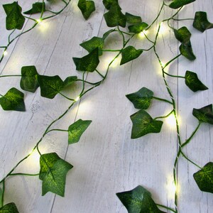 May include: A string of fairy lights with green leaves, perfect for adding a touch of nature to your home decor.