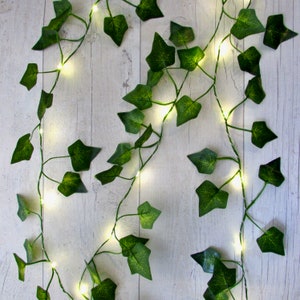 May include: A string of fairy lights wrapped around artificial ivy vines. The lights are white and the ivy is green.